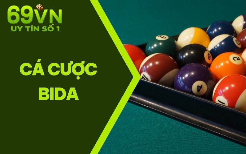 Cá Cược Bida | Từ A - Z Cách Chơi Cá Cược Tại Cổng Game 69VN