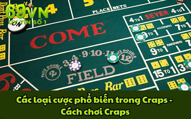 Các loại cược phổ biến trong Craps - Cách chơi Craps