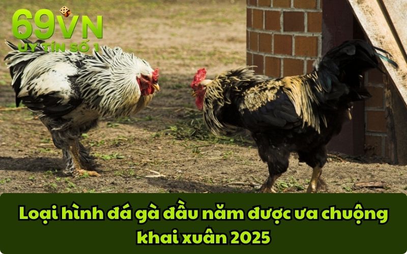 Loại hình đá gà đầu năm được ưa chuộng khai xuân 2025