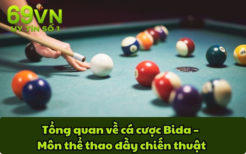 Tổng quan về cá cược Bida – Môn thể thao đầy chiến thuật